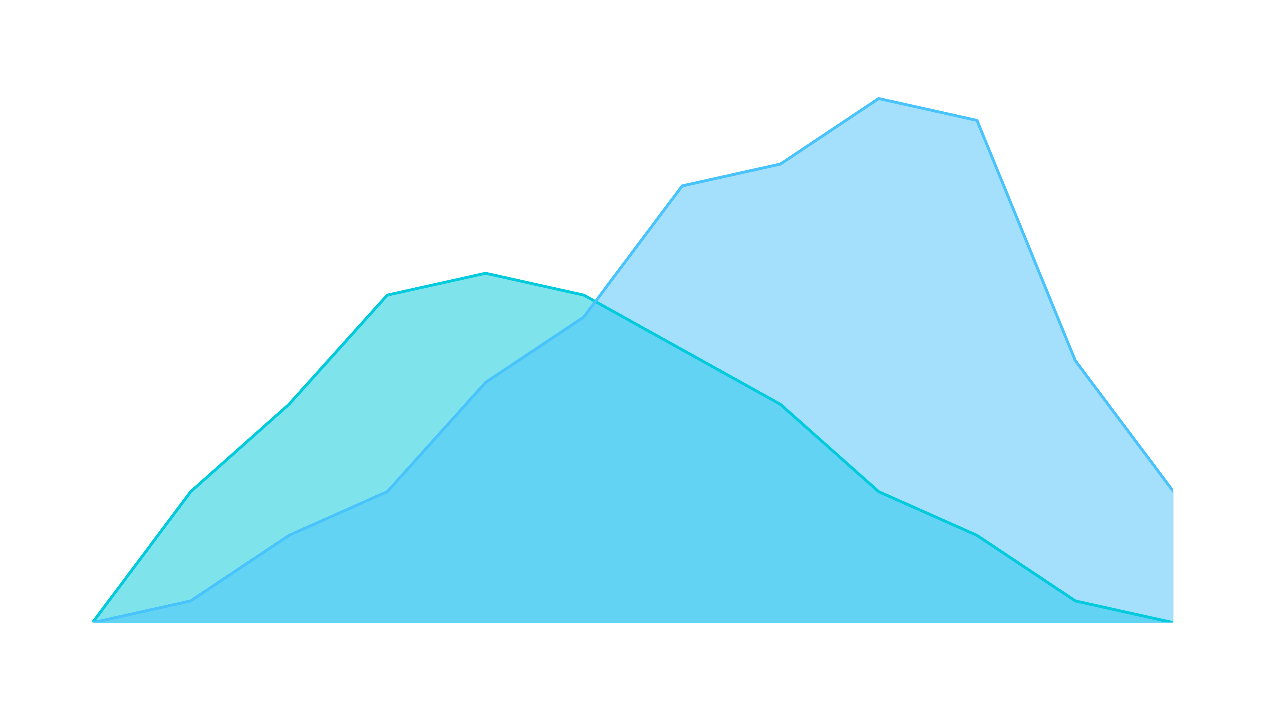 Camp Utilisation Reports